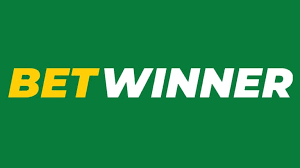Comprehensive Overview of BetWinner in Cameroon