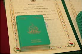 Understanding Vanuatu Passport Fees A Comprehensive Guide 878259596
