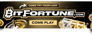 Experience Fast Thrills at Bitfortune Live Table