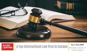 About Our Law Firm Expertise in Global Legal Solutions