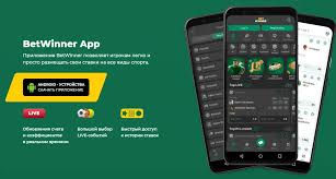 Experience the Thrill of Betting with BetWinner App