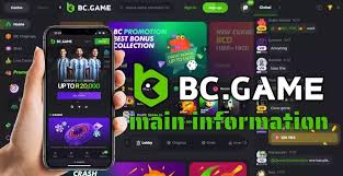 Exploring BC.Game Casino Your Guide to the Ultimate Crypto Gaming Experience