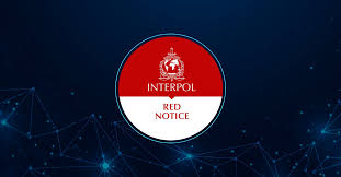 Understanding the Role of Interpol Defense Lawyers 1328501660
