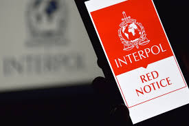 Understanding the Role of Lawyers in Interpol Cases 1329804582