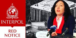 Understanding the Role of Lawyers in Interpol Cases 1329804582