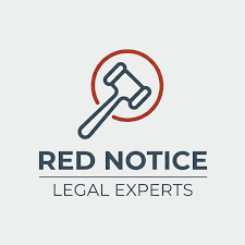 Understanding the Role of the Interpol Lawyers Team 1329978848