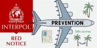 Understanding the Role of the Interpol Lawyers Team 1329978848
