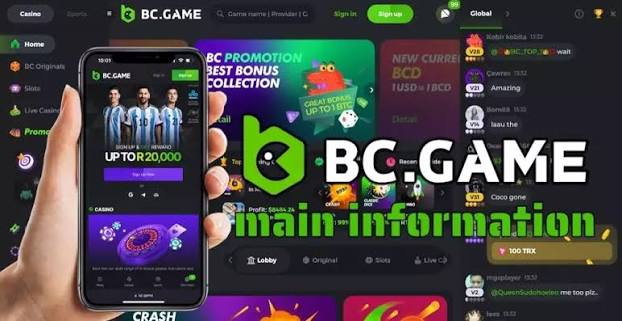 Unlock Exciting Offers BC.Game Bonus Codes Explained